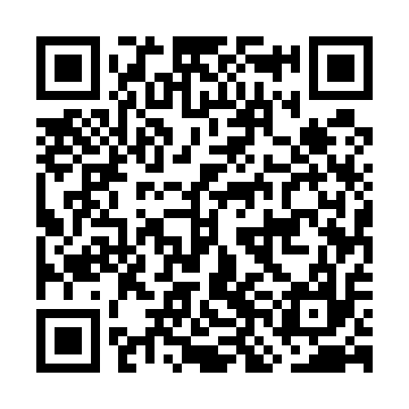 QR code for GNE517