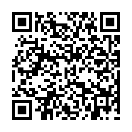 QR code for GNG339