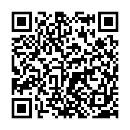 QR code for GNI313
