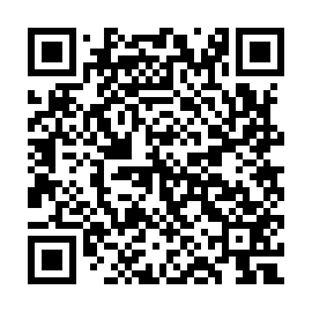 QR code for GNR953
