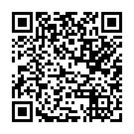 QR code for GOG381