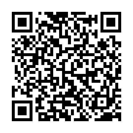 QR code for GOK313