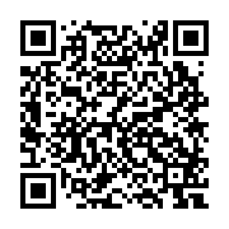 QR code for GOK383