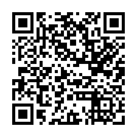QR code for GOL333