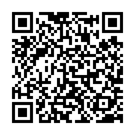 QR code for GOL689
