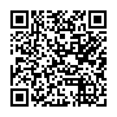 QR code for GOO384