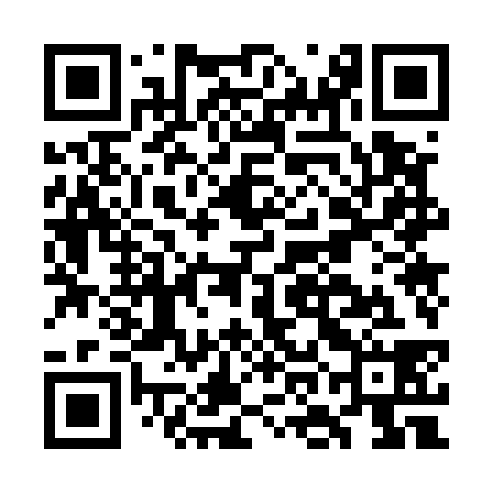 QR code for GOO538