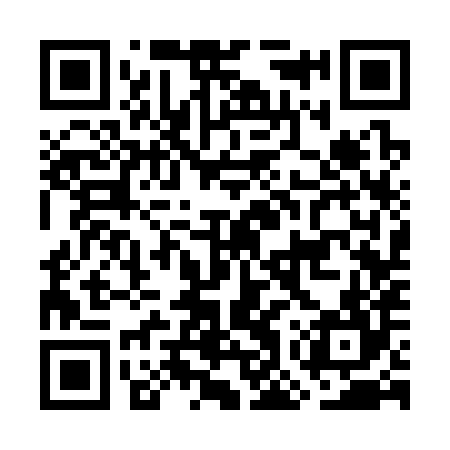 QR code for GOS384