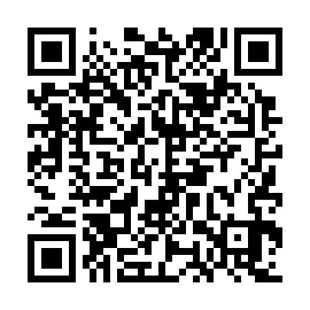 QR code for GOT333