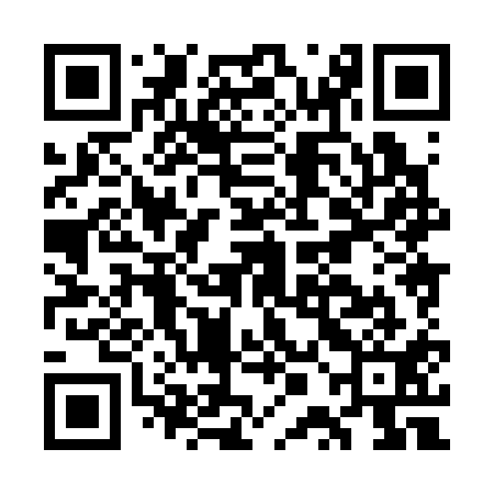 QR code for GPH311