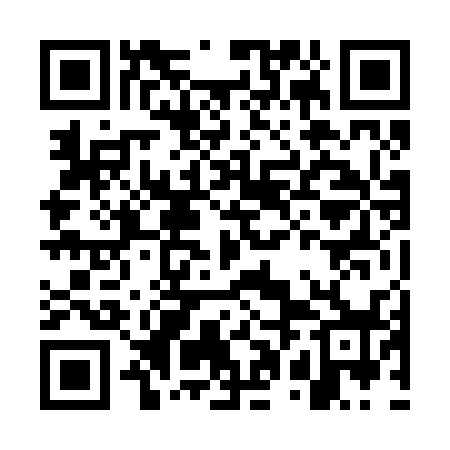 QR code for GPN238