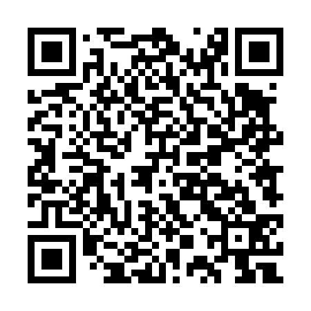 QR code for GPT433