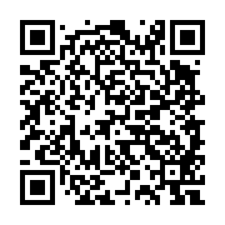 QR code for GPT489