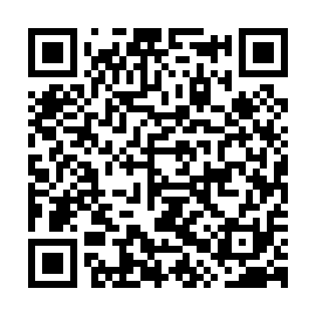 QR code for GPU011