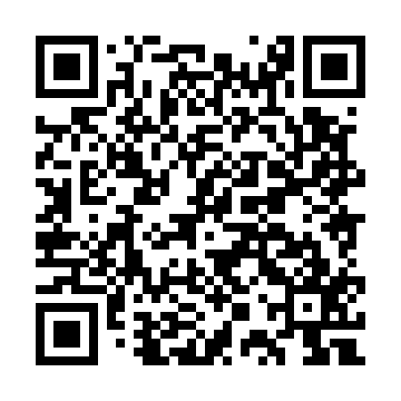 QR code for GPX517