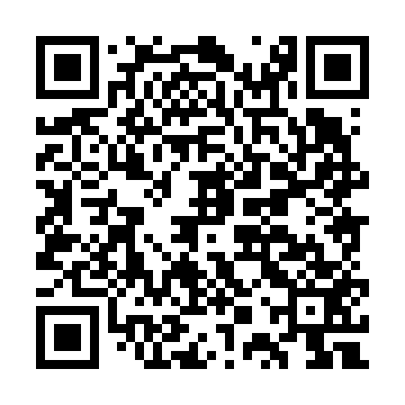 QR code for GPX653