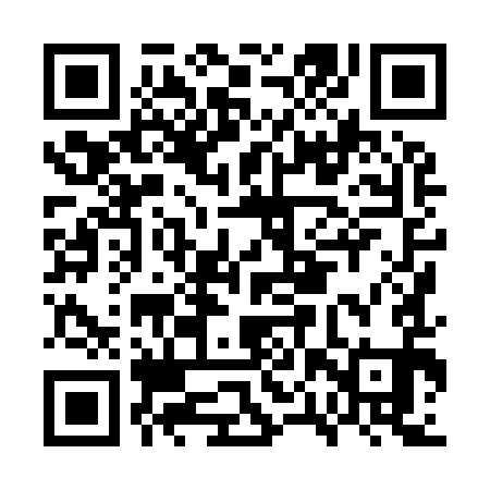 QR code for GPX991