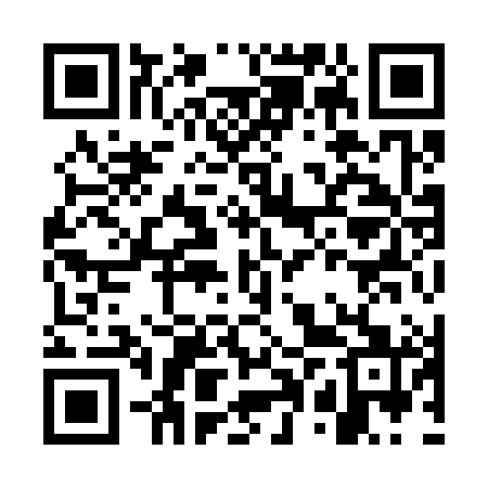 QR code for GPY381