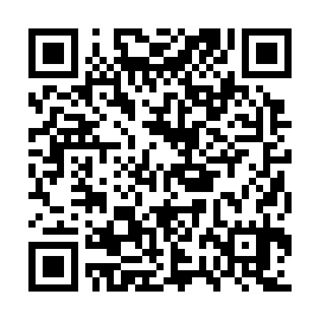 QR code for GRB335