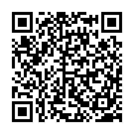 QR code for GRR377
