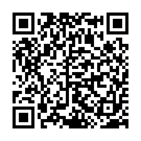 QR code for GRS313