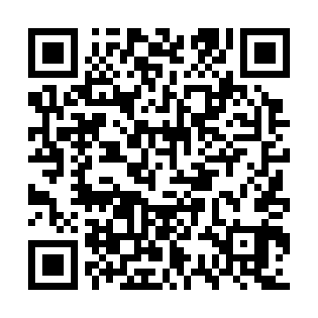 QR code for GSD341