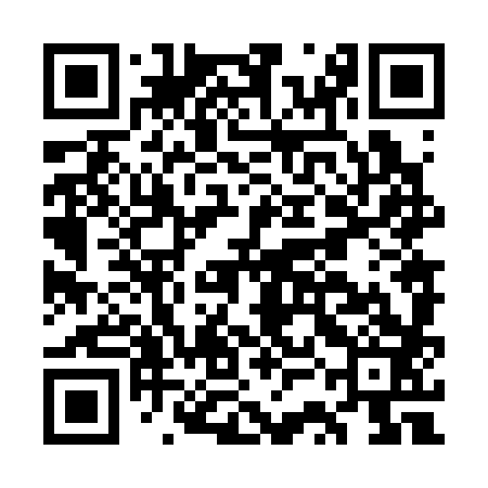 QR code for GSN383