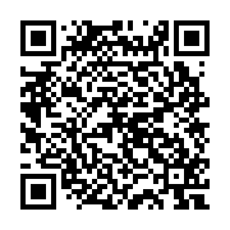 QR code for GSO317
