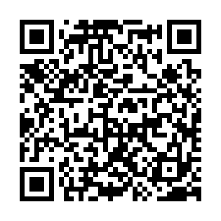 QR code for GSR333