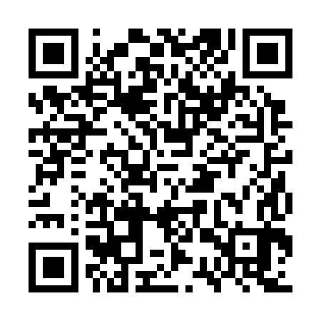 QR code for GSR383