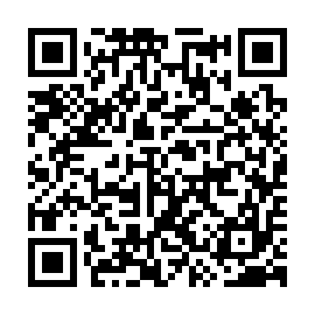 QR code for GSS317