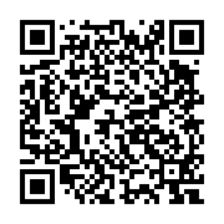 QR code for GSS491
