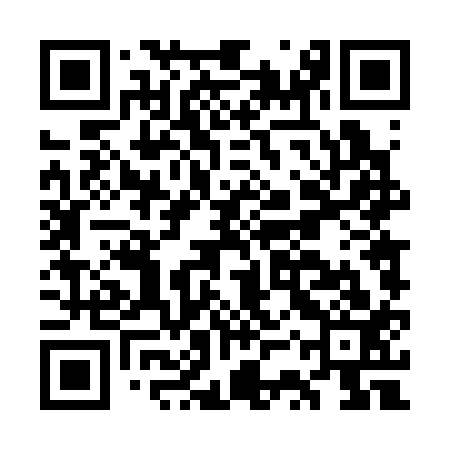 QR code for GST313