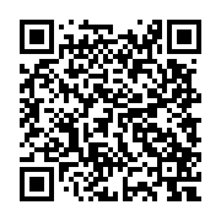 QR code for GST507