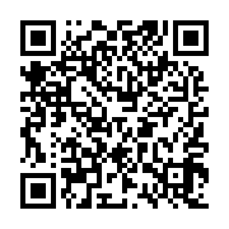 QR code for GST919