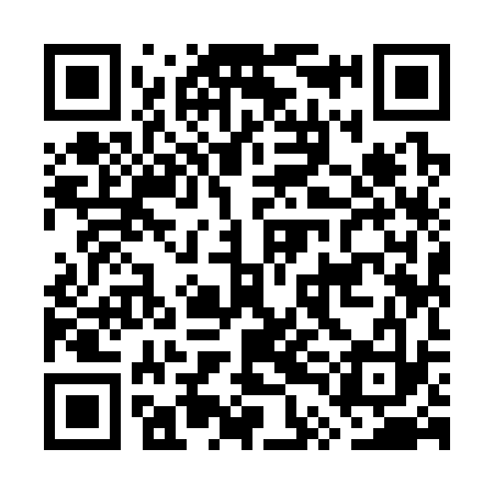 QR code for GTI333