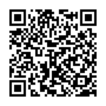 QR code for GTI338