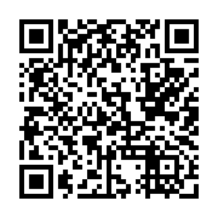 QR code for GTI493