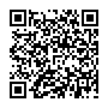 QR code for GTM333