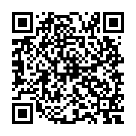 QR code for GTZ791