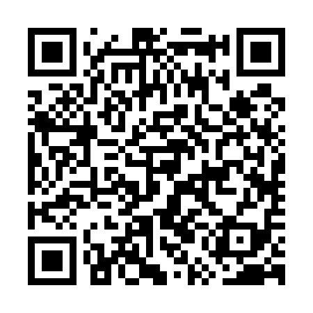 QR code for GUB519