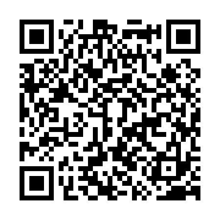 QR code for GUI133