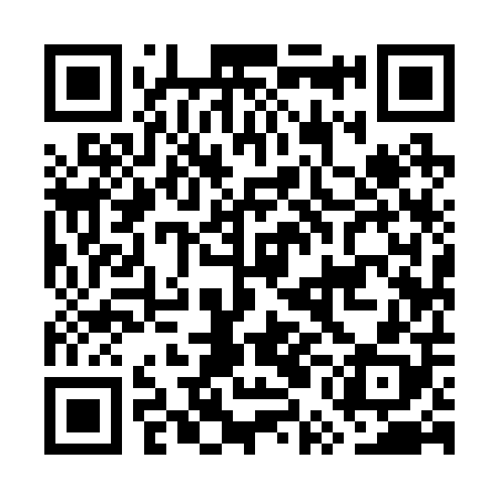 QR code for GUI208
