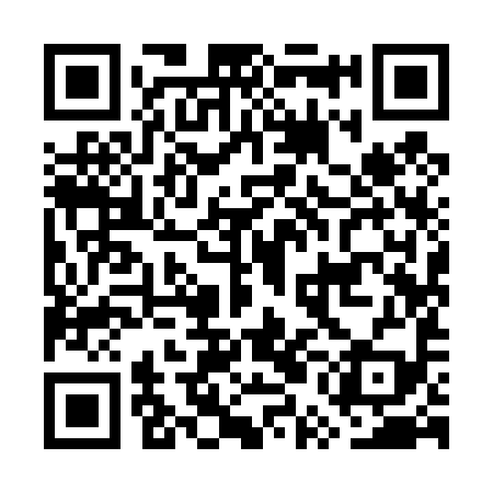 QR code for GUI499