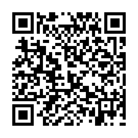 QR code for GUN196