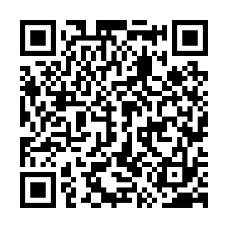 QR code for GUN233