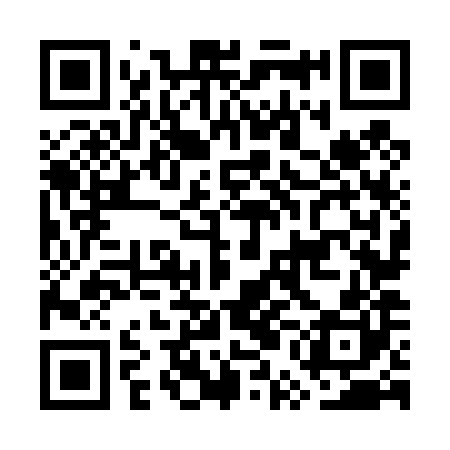 QR code for GUN480