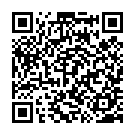 QR code for GUN485