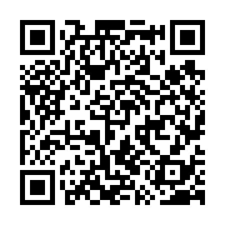QR code for GUN638