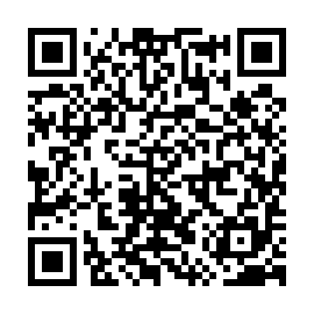 QR code for GUY595